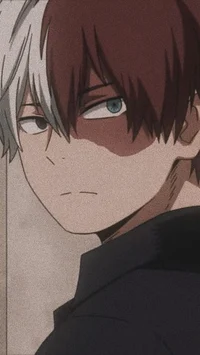 Shoto Todoroki 