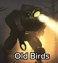 Old Birds