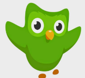 Duolingo Bird