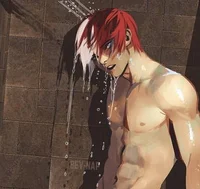 Shoto todoroki 