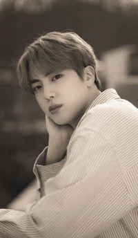 Seokjin 