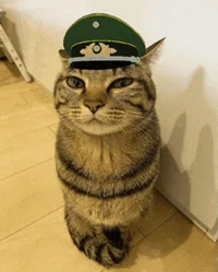 General Cat