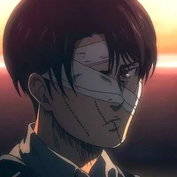 Levi