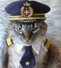 WW2 Americat Leader