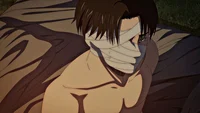 Levi Ackerman 