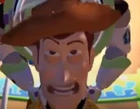 Idiot Woody