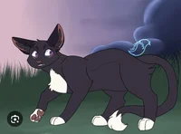 RavenPaw