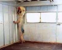 SCP-173
