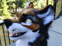 Fursuit Creator