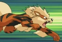 Arcanine
