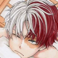 Shoto Todoroki