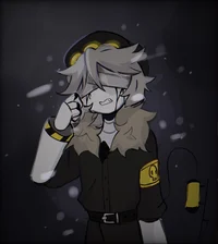 Serial designation N