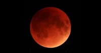 Bloodmoon Band 