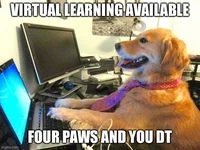 Dog virtual learn tf