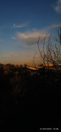 Algida ile kazan kod