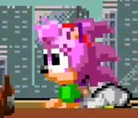 SFH Amy