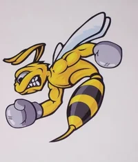 Boxing Bee