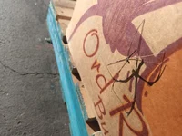 Omega boy bestfriend