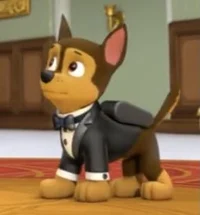Chase Paw Patrol 