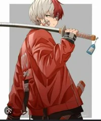 Shoto todoroki