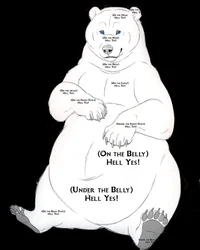 Chubby Bear Pet