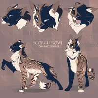 Warrior cats