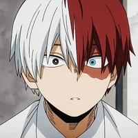 Shoto Todoroki