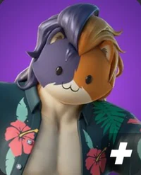 Miaoscolo fusa elise