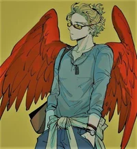 MHA  villain Hawks