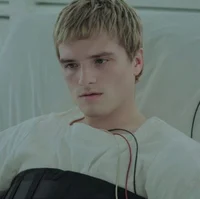 Peeta Mellark 