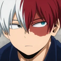 Shoto Todoroki