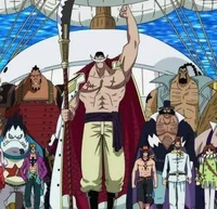 Whitebeard Pirates 