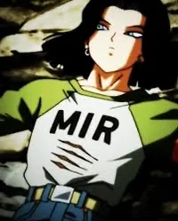 Android 17