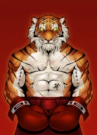 Boxing Tiger