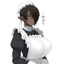 Elfa maid