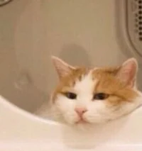 3I - Medieval Escort