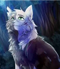 Warrior cats 