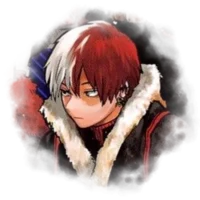 todoroki shouto