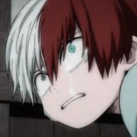 Shoto Todoroki 