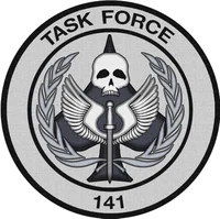 Task force 141
