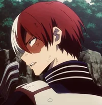 Shoto Todoroki 