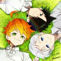 Tpn trio