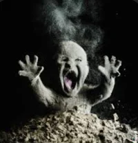 Ferocious beast