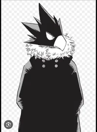 Tokoyami winter