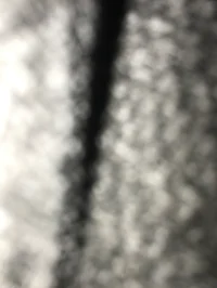 Serial Designation L