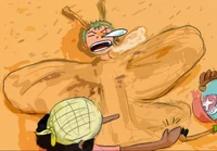 Un dia de playa Zoro