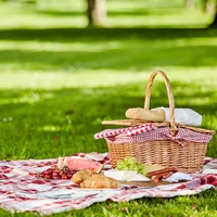 Picnic Il Dottore