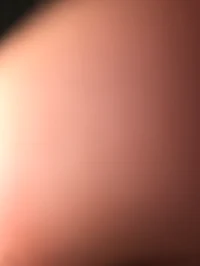 Serial Designation W