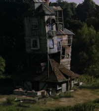 Staying at in burrow