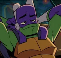 Rise Donatello 